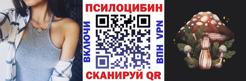 Галлюциногенные грибы Psilocybine cubensis  продажа наркотиков  Долгопрудный 