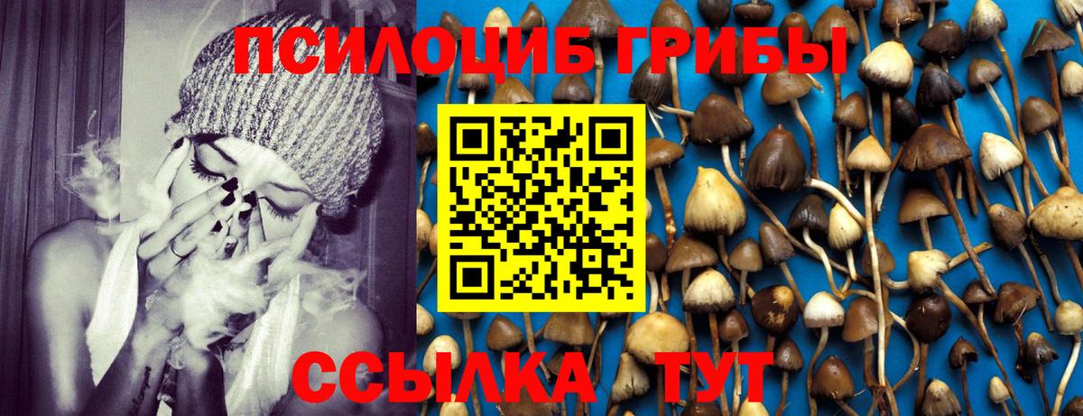 Псилоцибиновые грибы MAGIC MUSHROOMS Долгопрудный